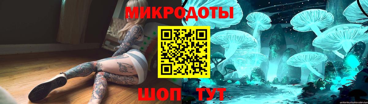 Галлюциногенные грибы Psilocybe Лесозаводск